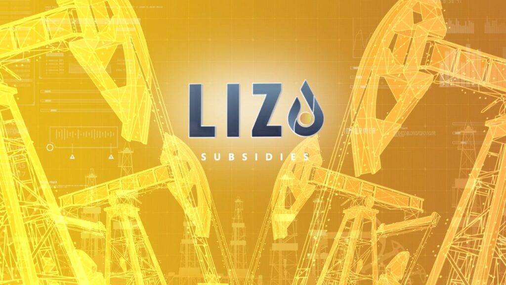 Lizo company digital journey